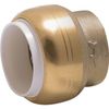 SharkBite UIP514 1/2 SharkBite PVC Cap