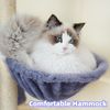 Multifunction Cat Tree Has Cozy Hammock & Hanging Ball, Cat Tower With