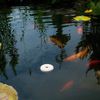 20 Summit BTI Mosquito Control Dunks Bactimous ~ Kill Mosquitoes & Larvae