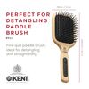 Kent Brushes Pf18 Maxi Taming Fine Pin Medium Brush