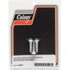 Colony Chrome Air Cleaner Screws 9980-3