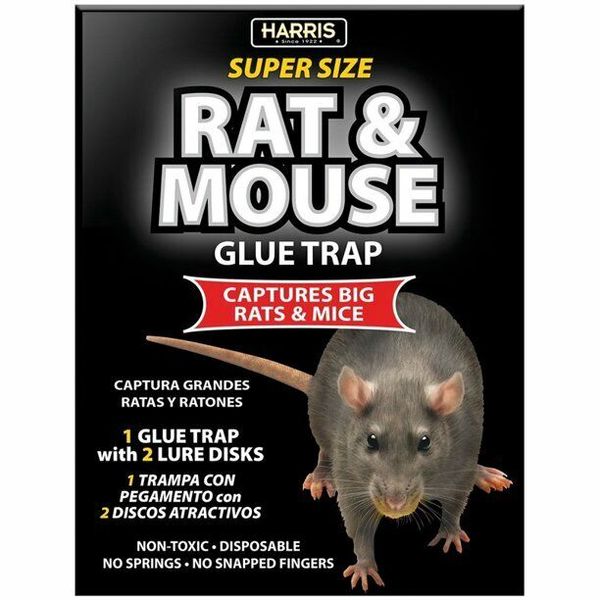 NEW Lot of 2 Harris Super-Size Rat and Mouse Glue Trap with Lure