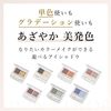 Chifure Twin Color Eye Shadow 09 Black Series
