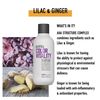KMS COLORVITALITY Illuminating Shampoo, 10.1 Ounce