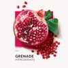 Solinotes Shower Cream (Grenade Pomegrante)