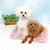 IDOG&ICAT Block Fur Bed Pad Small Non-Slip Eyeddog-Pink