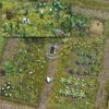 Busch 1223 Wild Flower Garden HO Scenery Scale Model Scenery