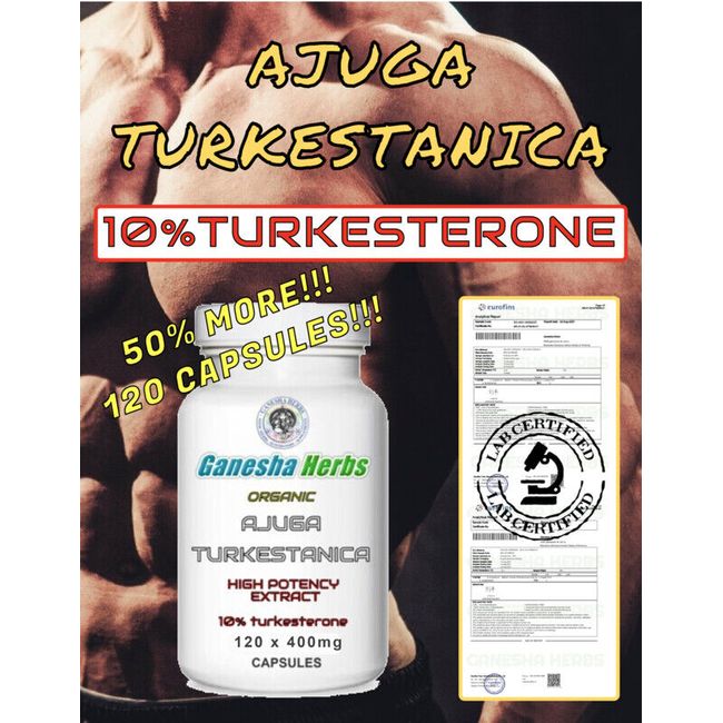 AJUGA TURKESTANICA High Potency  Extract 10%TURKESTERONE 120 x 400mg Capsules!