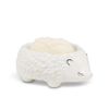 Sleeping Hedgehog Soap Dish