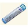 Boiron Nux Moschata 9C for Abdominal Bloating & Constipation - 80 Pellets