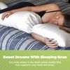 Kidney Bean 36 x 7 Body Pillow - Veggie/Kapok