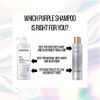 Pantene Silver Expressions, Purple Shampoo and Hair Toner, Pro-V for Grey and Color Treated Hair, Lotus Flowers, 17.9 Fl Oz