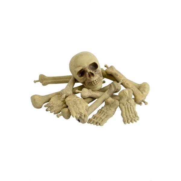 Smiffys Bag of Bones & Skull