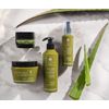 Olive Spa Beard Oil 30 ml