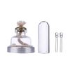 Science Sterling Engine Educational Model DIY Steam STEM Toy Learning Gift Model Building Kit