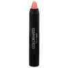 COLORMATES Lip Crayon Spice