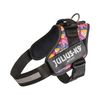 IDC Powerharness, Size: L/1, Leaf 2 - Limited Edition