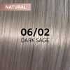 Shinefinity 06/02 60 ml Shade Dark Sage