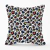 Warren Reed - Designer Coloured Leopard Print Cushions 60cm x 60cm