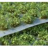 Gamers Grass Green Shrubs GGS-GR