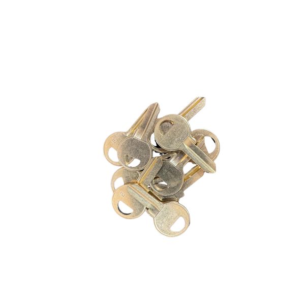 10-Pack M1 Key Blanks – Reliable Blanks for Master Padlocks – Secure & Versatile
