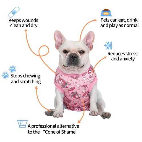 CuteBone Dog Surgery Recovery Suit Cat Surgical Onesie Female Body Suits Male Prevent Pet from Licking Wounds SSF02L
