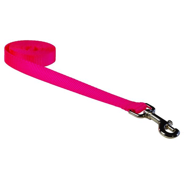 Large Neon Pink Nylon Webbing Dog Leash: 1" Wide, 6ft Length - Made in USA.