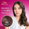 Wellaton 2+1 Milky EX 8G, Brighter Warm Brown, Quasi-Drug, Fashionable Dye for Gray Hair