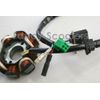 Ice Bear Malibu PMZ150-10 Stator Magneto Coil Pack