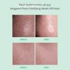 AXIS-Y Mugwort Pore Clarifying Wash Off Pack 100 ml