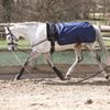 BUSSE Rain 50 Lunging Blanket