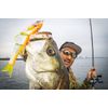 JACKALL Lure, Dowse Swimmer 220SF Pink Strike Sea Eagle