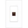 RiteAV CAT6-BROWN Wall Plate Screwless [White]