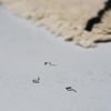 +d Pli DA-1380 Pli (hook pins, 3 pieces)