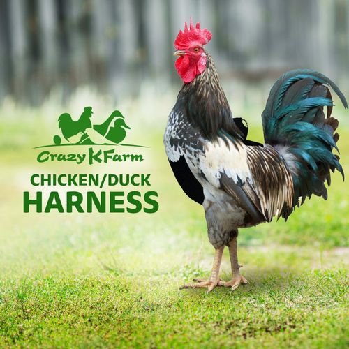 Hen Saver Chicken Harness and Duck Harness, Comfy Chicken Vest for Safe Walks, Durable Chicken and Pet Duck Accessories, Adjustable Bird Harness, Universal Size, Black - Hen Saver Store