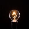 Box of 25 G30 Clear 1.2” 5W C7 E12 Base String Light Replacement Bulbs