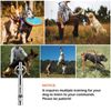 2 Pcs Set Adjustable Dog Obedience Stop Barking Hot Pet Dog Training Whistle