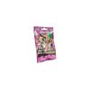 PLAYMOBIL Envelope Figure Girl s.27