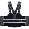 Farabi Body Shield Belly Protector Guard Belly Ribb Protection Training Pad (Red)