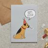 Border Terrier Birthday Card