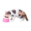 Petz Root Free High Tableware