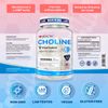 Choline 500mg, Brain Supplement for Memory and Focus | Cognitive Function