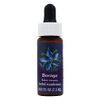Borage Essence 7.40 Milliliters