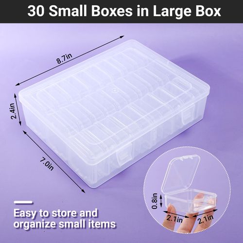 Cosics Bead Organizers and Storage, Clear Plastic Bead Storage Containers with 30 Small Storage Case for Small Projects, DIY Craft Jewelry, Stickers, False Nails, Screws, Seeds