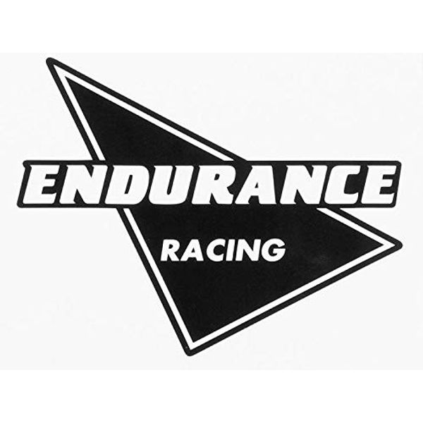 Endurance STRIPEERP02 Motorcycle Clear Logo Sticker