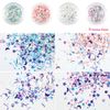 Princess-style Unicorn Glitter Nail Resin Glitter Hologram Moon Star Pastel Mix 4 Colors Set