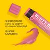 Burt Bees Tinted Lip Balm, Hibiscus, 0.15 ounce, 2 Count by Burt Bees
