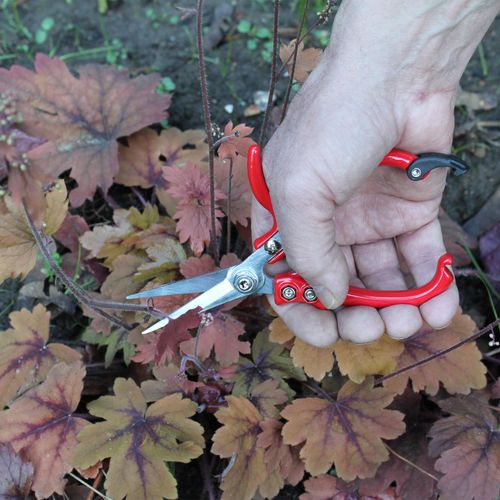 Darlac Ergo Gardening Snips – Strong, Lightweight Gardening Scissors Ideal for Houseplants and Flower Arranging – Razor Sharp, Pocket-Sized Pruners - SK5 High Carbon Steel Blade