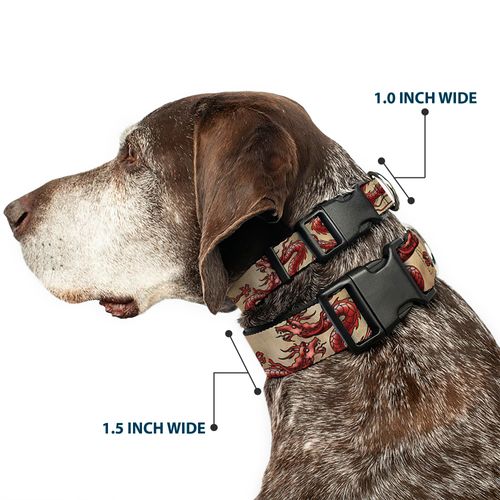 Buckle-Down PC-W30462-WM Dragons Tan Plastic Clip Collar, Wide Medium/16-23"
