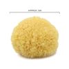 Neptune Caribbean Sea Sponge, Hand Cut, Medium, Approx. 5-6 inches